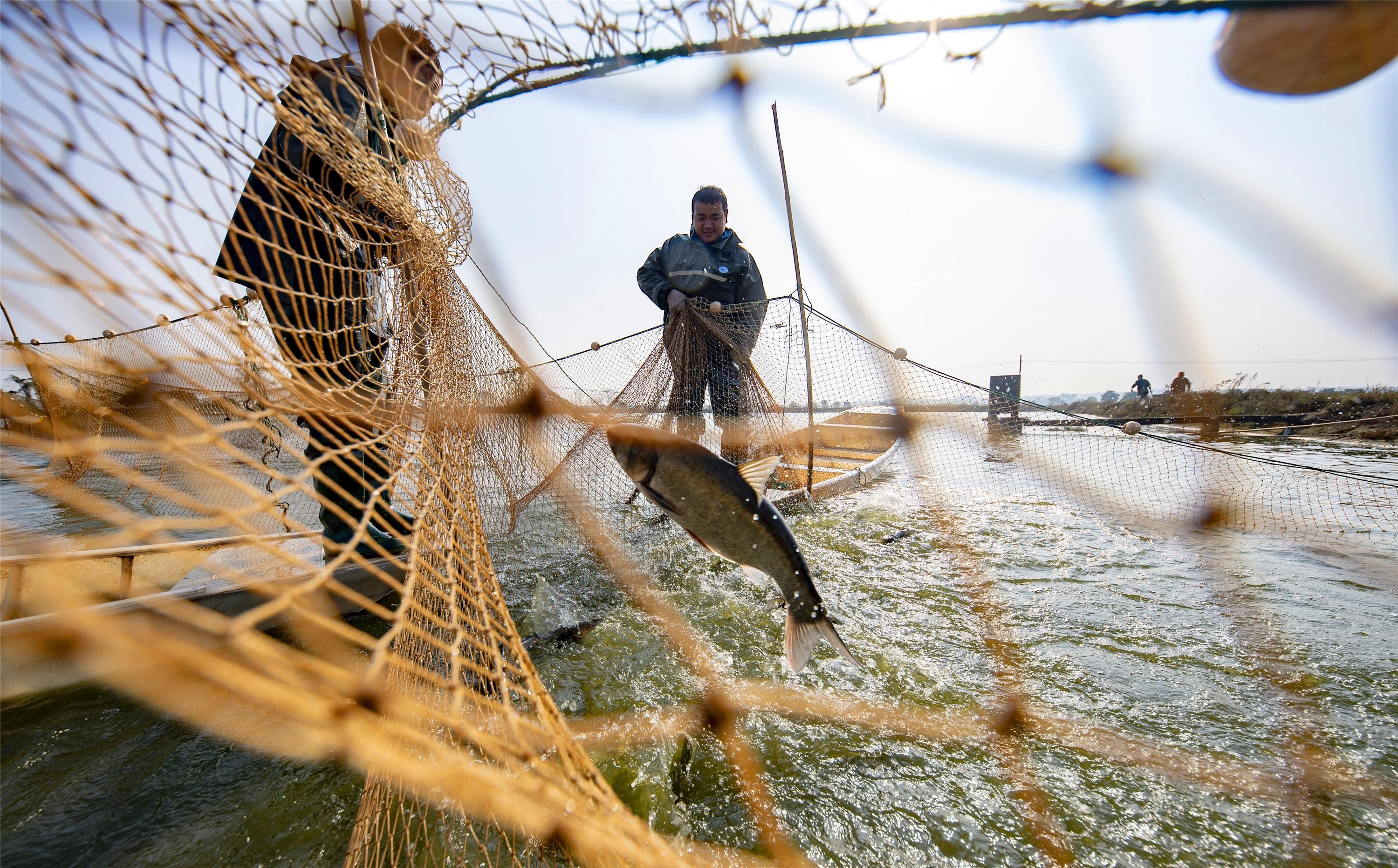 长江“十年禁渔”开局良好取得重要阶段性成效