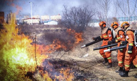 春季防火紧要期，中国应如何做好森林草原防火？